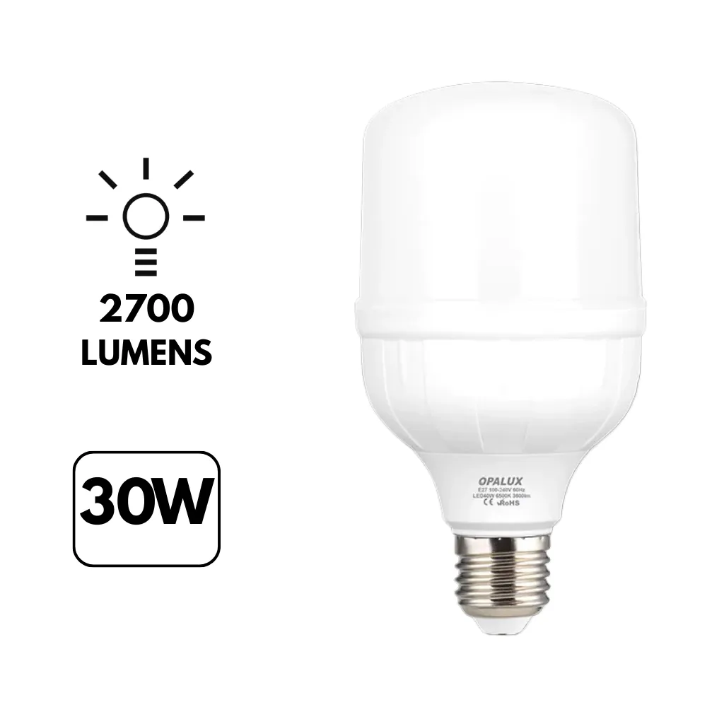 FOCO LED BOMBILLA 30W-220 LUZ BLANCA 2700LM OPALUX
