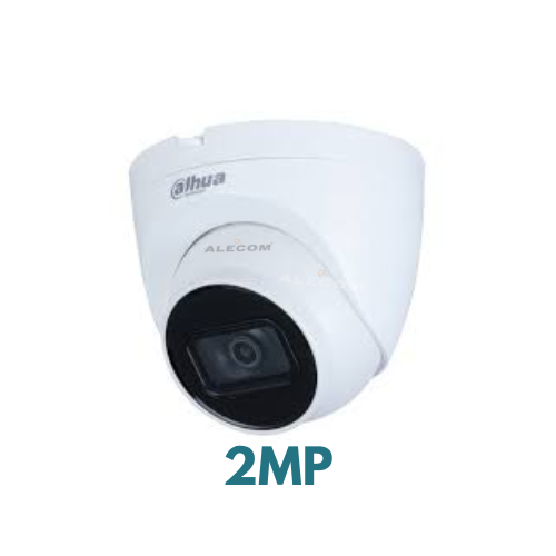 CAMARA DOMO IP 2MP IR30 STARLIGHT IP67 HD-IPC-HDW2231TN-AS-S2 DAHUA